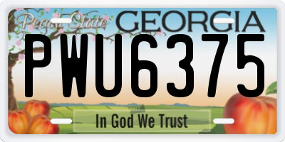 GA license plate PWU6375