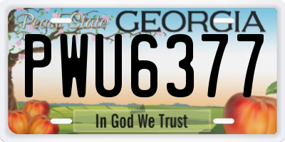 GA license plate PWU6377