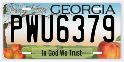 GA license plate PWU6379