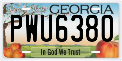 GA license plate PWU6380