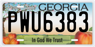 GA license plate PWU6383
