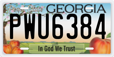 GA license plate PWU6384