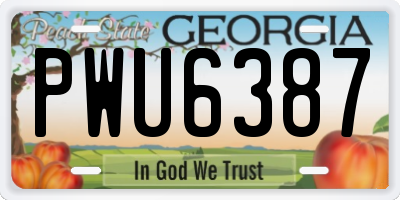 GA license plate PWU6387