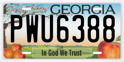 GA license plate PWU6388