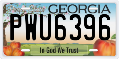 GA license plate PWU6396