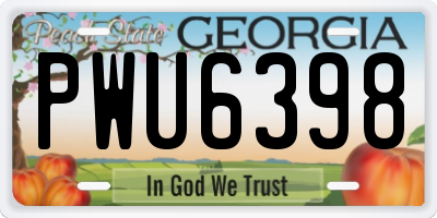 GA license plate PWU6398