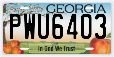GA license plate PWU6403