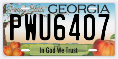 GA license plate PWU6407
