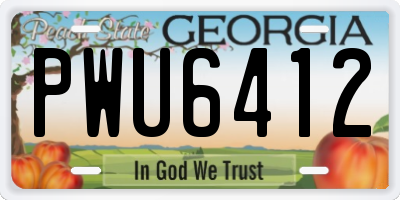 GA license plate PWU6412