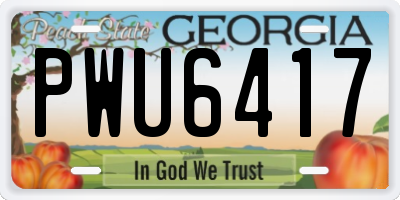 GA license plate PWU6417