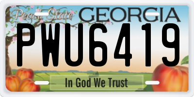 GA license plate PWU6419