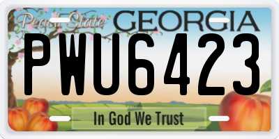 GA license plate PWU6423