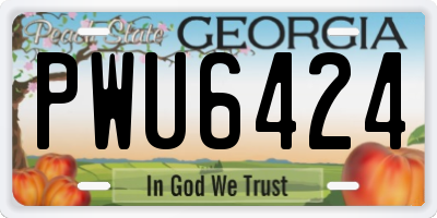 GA license plate PWU6424