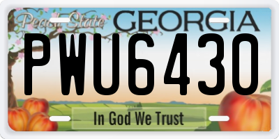 GA license plate PWU6430
