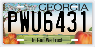 GA license plate PWU6431