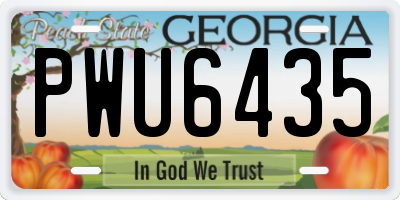 GA license plate PWU6435