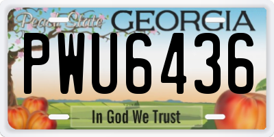 GA license plate PWU6436