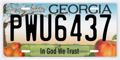 GA license plate PWU6437