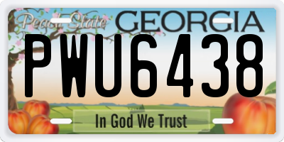 GA license plate PWU6438