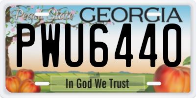 GA license plate PWU6440