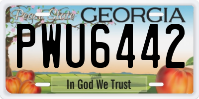 GA license plate PWU6442