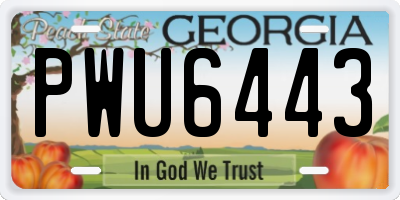 GA license plate PWU6443