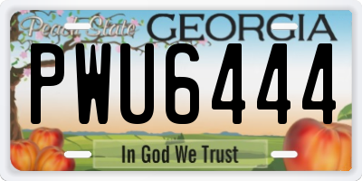GA license plate PWU6444