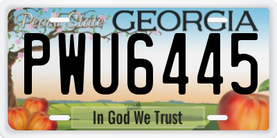 GA license plate PWU6445