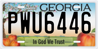 GA license plate PWU6446