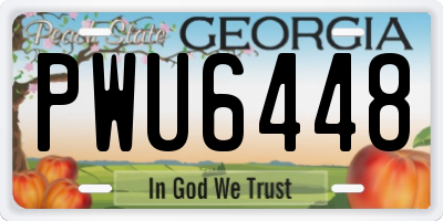 GA license plate PWU6448
