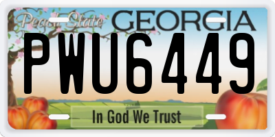 GA license plate PWU6449