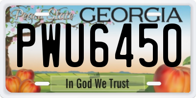 GA license plate PWU6450