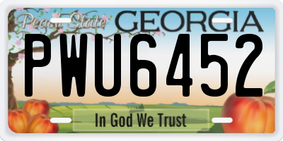 GA license plate PWU6452