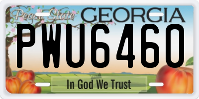 GA license plate PWU6460