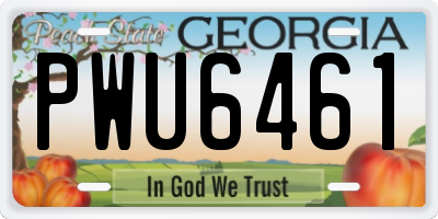 GA license plate PWU6461