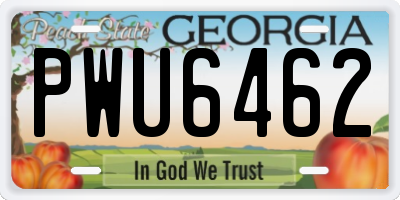 GA license plate PWU6462