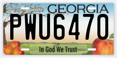 GA license plate PWU6470