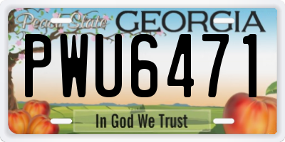 GA license plate PWU6471
