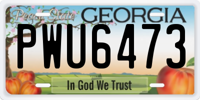 GA license plate PWU6473