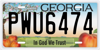 GA license plate PWU6474