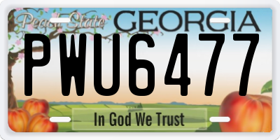GA license plate PWU6477