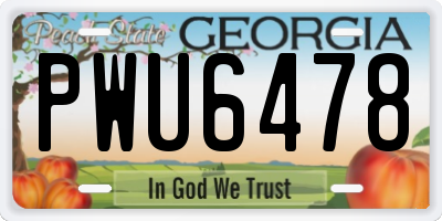GA license plate PWU6478