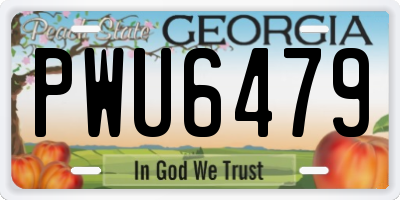 GA license plate PWU6479