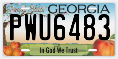 GA license plate PWU6483