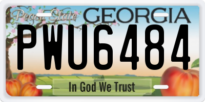 GA license plate PWU6484