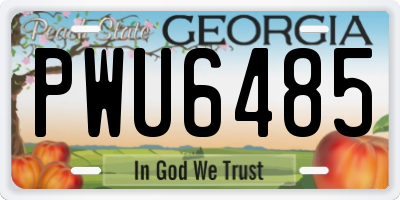 GA license plate PWU6485