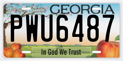 GA license plate PWU6487