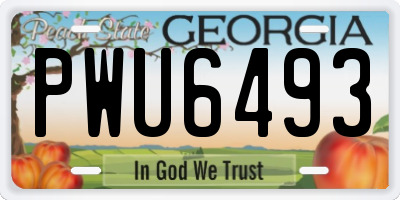 GA license plate PWU6493