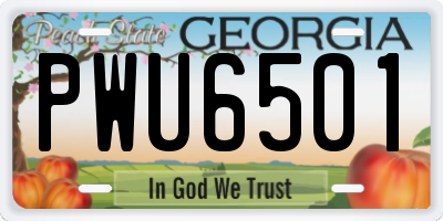 GA license plate PWU6501