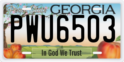 GA license plate PWU6503